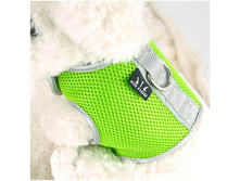 ������ AIR MESH �� �������� CRAZY PAWS, ������� - 425 ���.