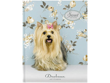 ������� 1-4 ��. 48�. ���� �������. Sweet pets, �����. ��������� 28,80.jpg