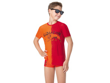 100	BFX101308 Hermes - ����� '���������� ���� � ���������'	�������� ������� ��� ���������2.jpg