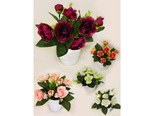 ��16/02 - 222 - ������ 25%