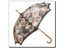 ����-������ <<������� �����>>