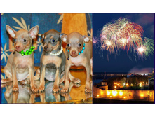 ����� �.jpg