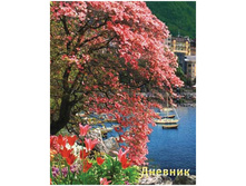 ������� 5-11 ��. 48�. (�������) �������� ������, ���������� ���, ������� 43,38.jpg