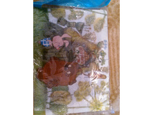 ����������� ���� ���� ���