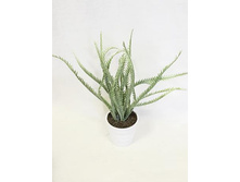 ��25/192 - 185 - ������ 25%