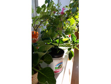 20150408_162046.jpg
