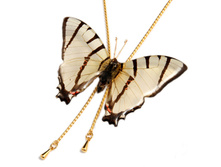 BF015ATI-01.JPG