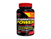 L-Carnitine Power