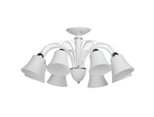 297011508  5700p.png