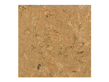 �������� ��������.jpg