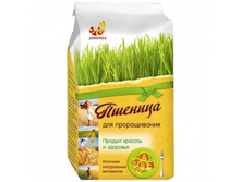 ������� ��� ������������ (�����). 20 ���..jpg