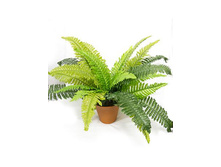 �32/19 - 357 - ������ 25%