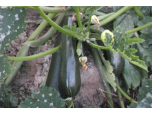 29 ���� 2014 237.jpg