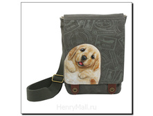 �����-������� � ������ ����� - 1565 ������