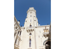 ����� ������� ��� �������