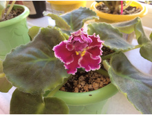 �������