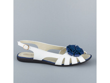 2332 36-44p 2660.jpg