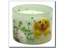 ���������� � ��������� � ���������� �������� <<������>> - 297 ������