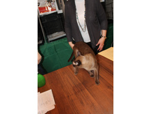 186.JPG