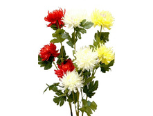 ����� �� ������ 3������ 1.2�