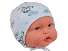 ����� 2�� 1764, 100 ���