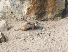 ����� � ����-�� ������ :)