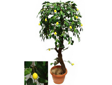 �� 110/41 - 2630