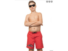 ������� ��� ��������� BSH131510 Grand Prix.jpg