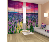 «��������� ����».png