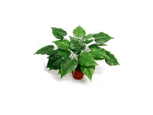 �� 35/67 - 615 - ������ 25%