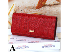 FND505-7 (900���) ���.����.jpg