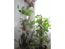 "����� ����"