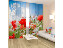 «������� �����».png