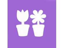 1902 ��������� ��������� (2 ��.) �������: 1902 ����: 33 ���