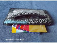 ������� ������� "����-�������"