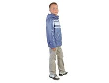 ������ �.� ������