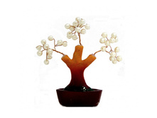 ������ ������� "������"