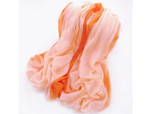 ZS006 ���������� ���� (800 ���) 180�� 110 ��.jpg