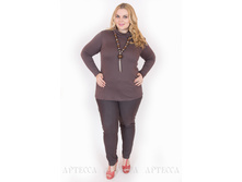 ��������� V011.8