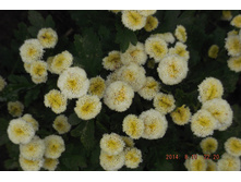��� 2014 028.jpg