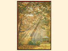 ������� ������� ���.jpg