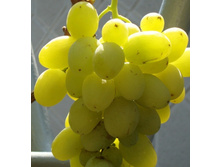 ��-���. 160 ���. ������� �����������.jpg