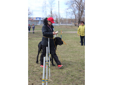 ��ӣ��� ������.JPG