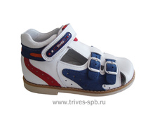 ��������� � �������� ������ TW-207, ���� ����-�����.jpg