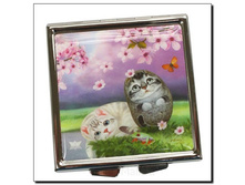 ��������� <<����� �����>> � ������