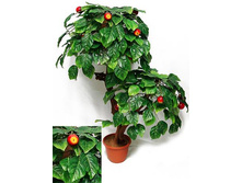 �� 85/2�/45 - 2850