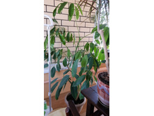 20150408_162111.jpg