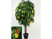 180/��/74 - 4730