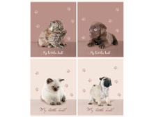 ������� 12�. ������ ��������� 6,54.jpg