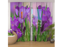 �������� <<�������>>